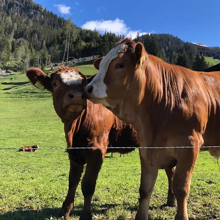 Veronika סנט יקוב אין דפרגן