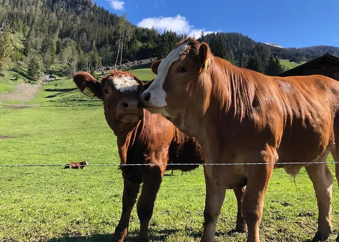 Veronika St Jakob in Defereggen